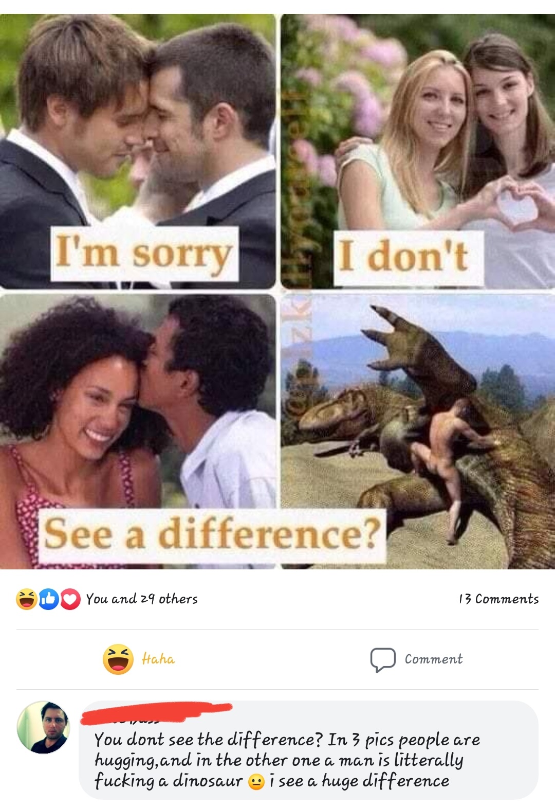 i m sorry but i don t see - I'm sorry I don't See a difference? D You and 29 others 13 Haha o comment You dont see the difference? In 3 pics people are hugging, and in the other one a man is litterally fucking a dinosaur i see a huge difference