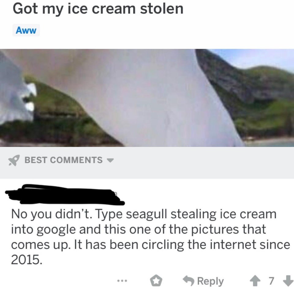 seagull ice cream - Got my ice cream stolen Aww Best No you didn't. Type seagull stealing ice cream into google and this one of the pictures that comes up. It has been circling the internet since 2015. ... > 47