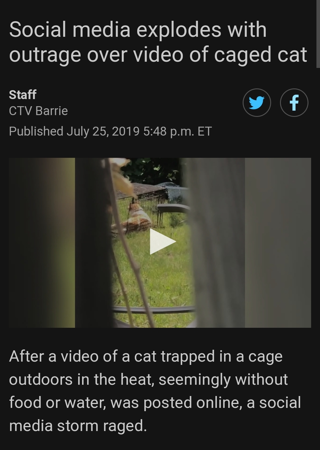 Social media explodes with outrage over video of caged cat Staff Ctv Barrie Published p.m. Et After a video of a cat trapped in a cage outdoors in the heat, seemingly without food or water, was posted online, a social media sto