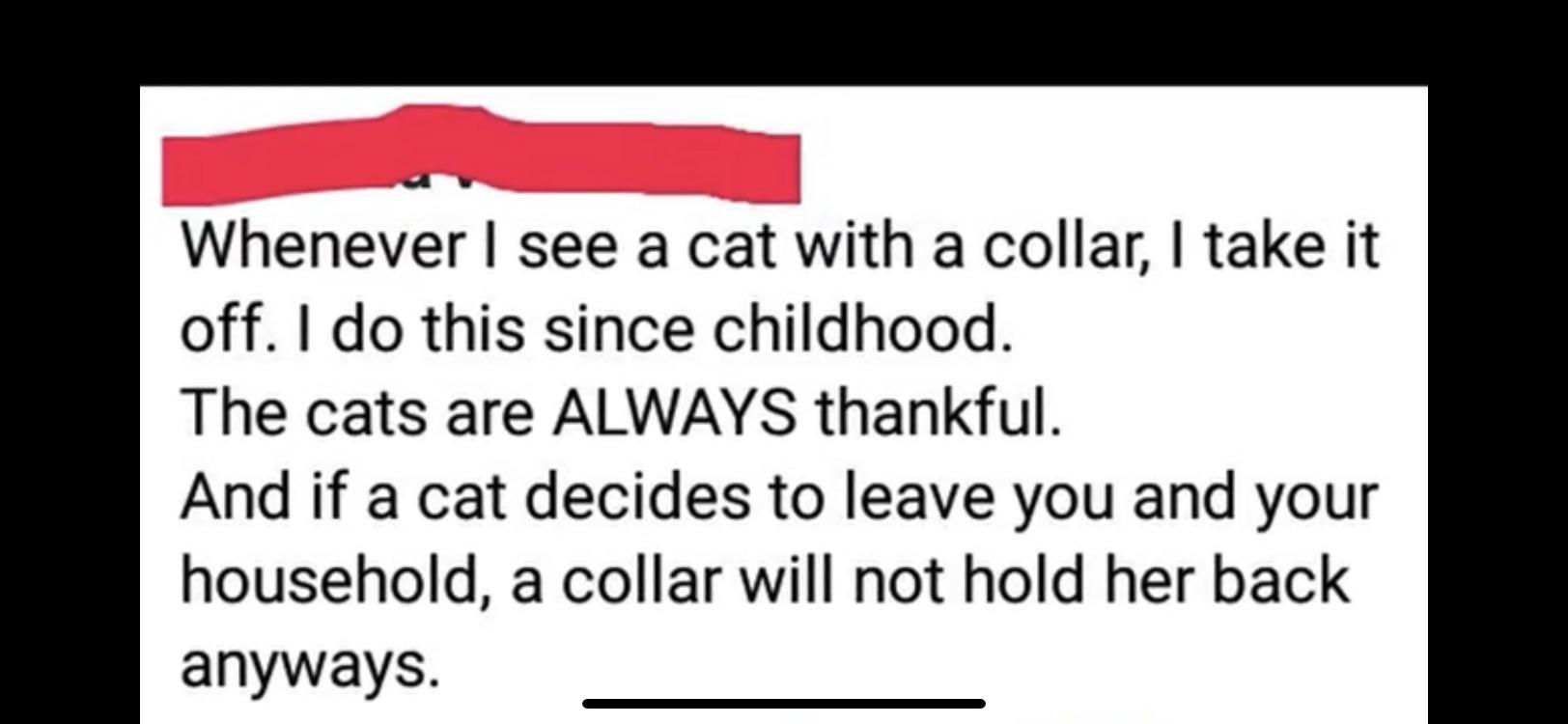 Whenever I see a cat with a collar, I take it off. I do this since childhood. The cats are Always thankful. And if a cat decides to leave you and your household, a collar will not hold her back anyways.