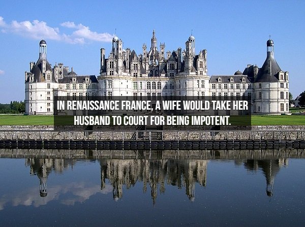 chateau de chambord - In Renaissance France, A Wife Would Take Her Husband To Court For Being Impotent.