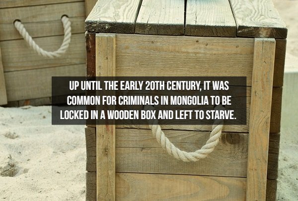 wood - Up Until The Early 20TH Century, It Was Common For Criminals In Mongolia To Be Locked In A Wooden Box And Left To Starve.