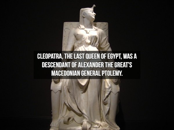 death of cleopatra - Cleopatra, The Last Queen Of Egypt, Was A Descendant Of Alexander The Great'S Macedonian General Ptolemy.