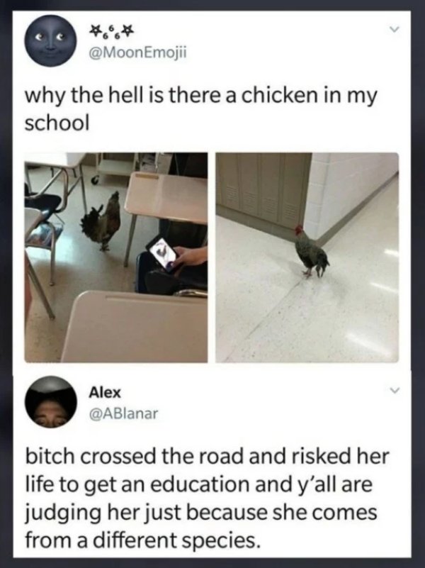 chicken in school meme - Emoji why the hell is there a chicken in my school Alex bitch crossed the road and risked her life to get an education and y'all are judging her just because she comes from a different species.