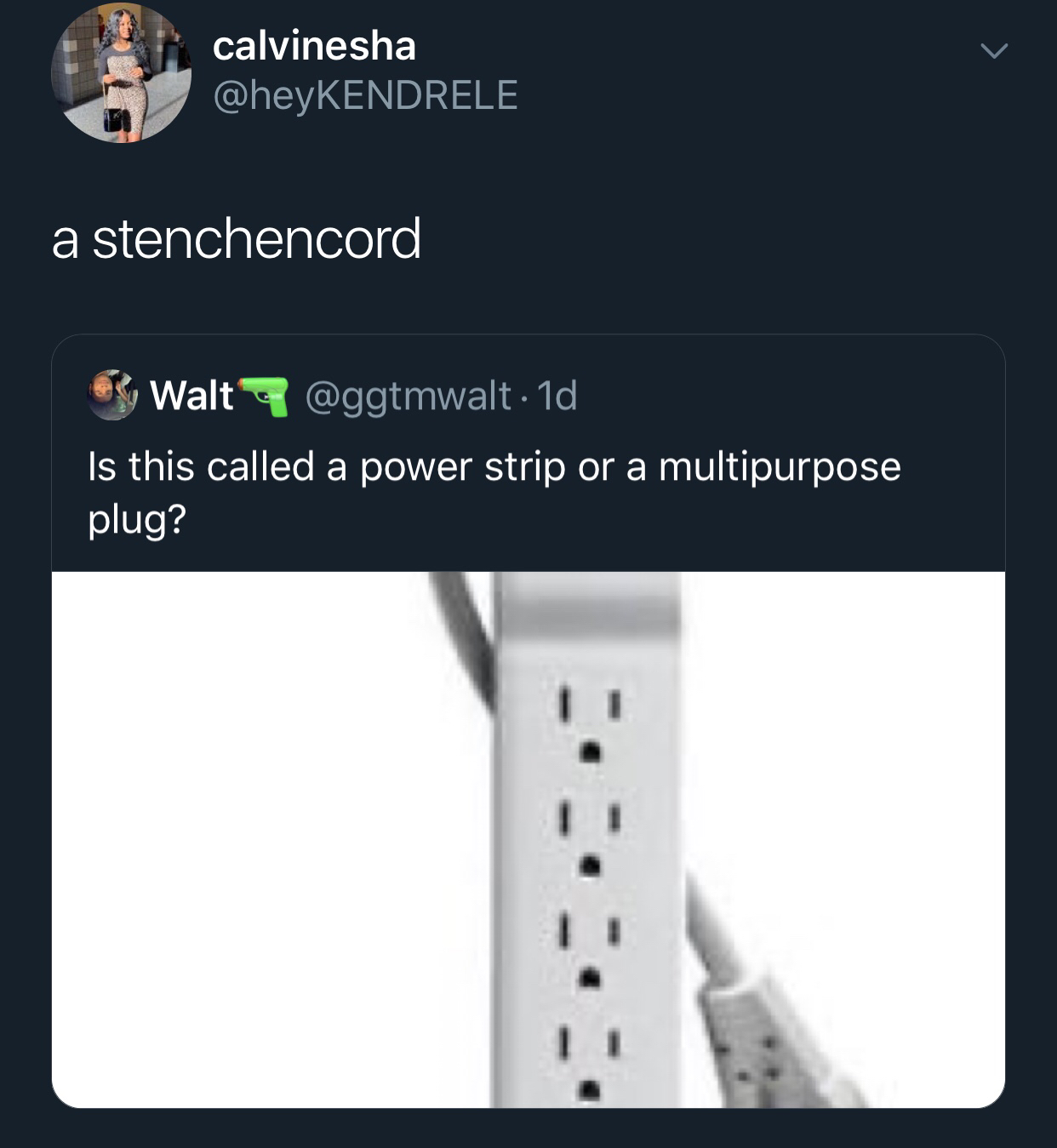 Is this called a power strip or a multipurpose plug?