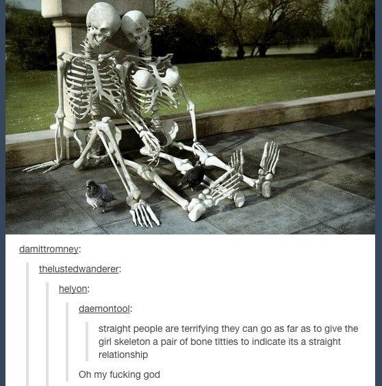 skeleton with boobs - damittromney thelustedwanderer helyon daemontool straight people are terrifying they can go as far as to give the girl skeleton a pair of bone titties to indicate its a straight relationship Oh my fucking god
