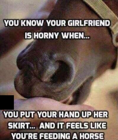 funny horny memes - You Know Your Girlfriend Is Horny When... You Put Your Hand Up Her Skirt... And It Feels You'Re Feeding A Horse