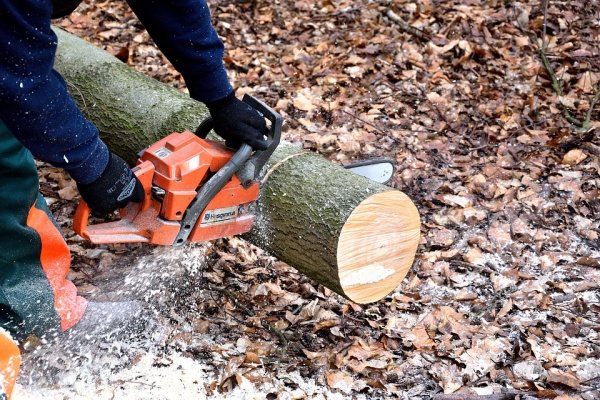 The prototype for the chainsaw originated from a small handsaw invented by doctors to manually widen a woman’s pelvic bone during childbirth.