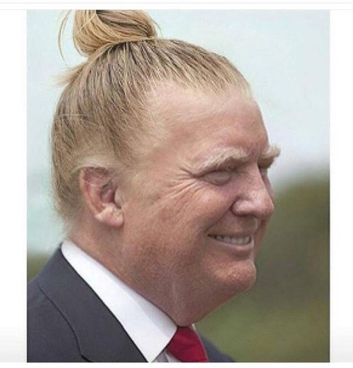 donald trump funny hair