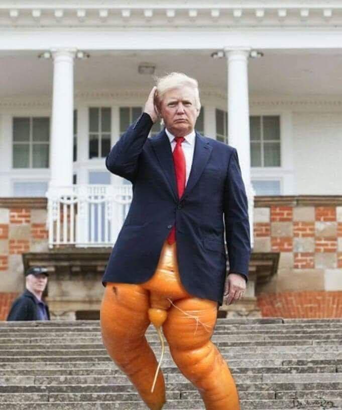 donald trump carrot legs