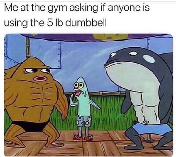 spongebob memes gym - Me at the gym asking if anyone is using the 5 lb dumbbell