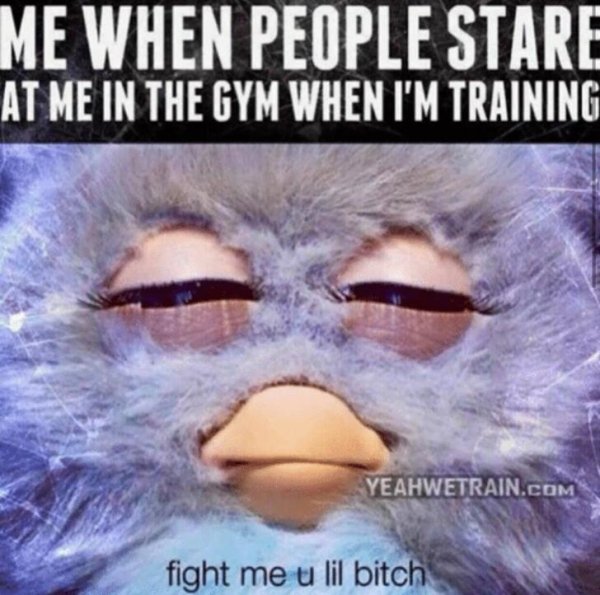 fight me furby meme - Me When People Stare At Me In The Gym When I'M Training Yeahwetrain.Com fight me u lil bitch