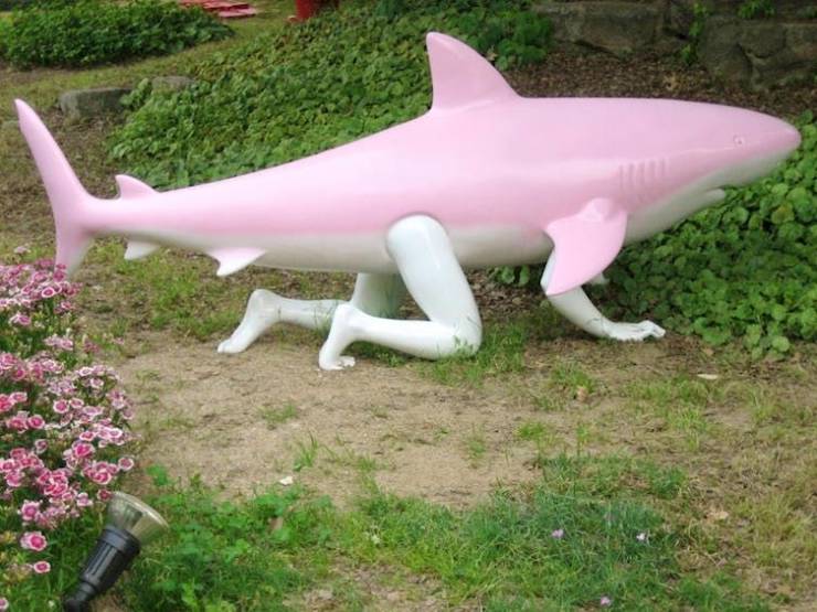 pink shark