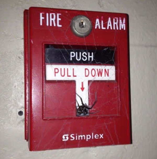 some people just want to watch the world burn memes - Fire Alarm Push Pull Down s Simplex