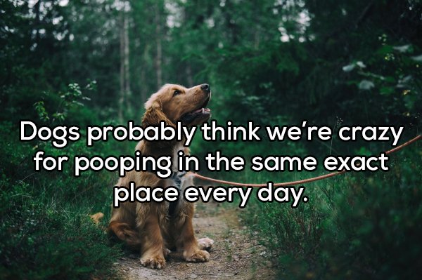 20 Shower thoughts to tingle your brain.