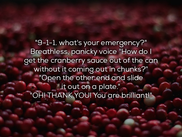 ridiculous 911 calls - "911. what's your emergency?", Breathless, panicky voice "How do I get the cranberry sauce out of the can without it coming out in chunks?" "Open the other end and slide it out on a plate." "Oh! Thank You! You are brilliant!"