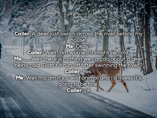 Caller A deer just swam across the river behind my house. Me Okay? | Caller Well I am worried it might be cold. Me........Well there is nothing we can do about a deer being cold. Didn't it run off after swinning the river? Caller Yes. Me Well ma'am it's a