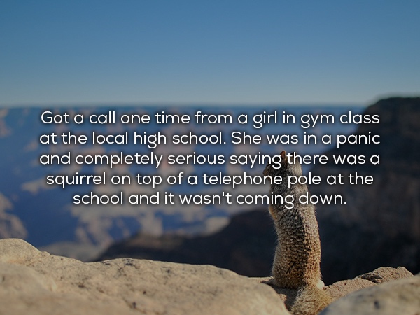 distracted squirrel gif - Got a call one time from a girl in gym class at the local high school. She was in a panic and completely serious saying there was a squirrel on top of a telephone pole at the school and it wasn't coming down.