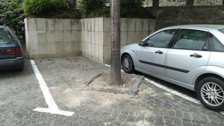 23 People who had one job and failed.