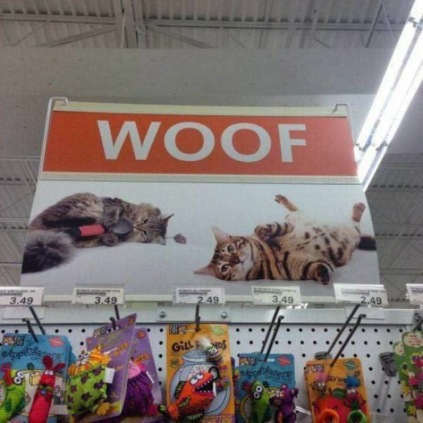 23 People who had one job and failed.