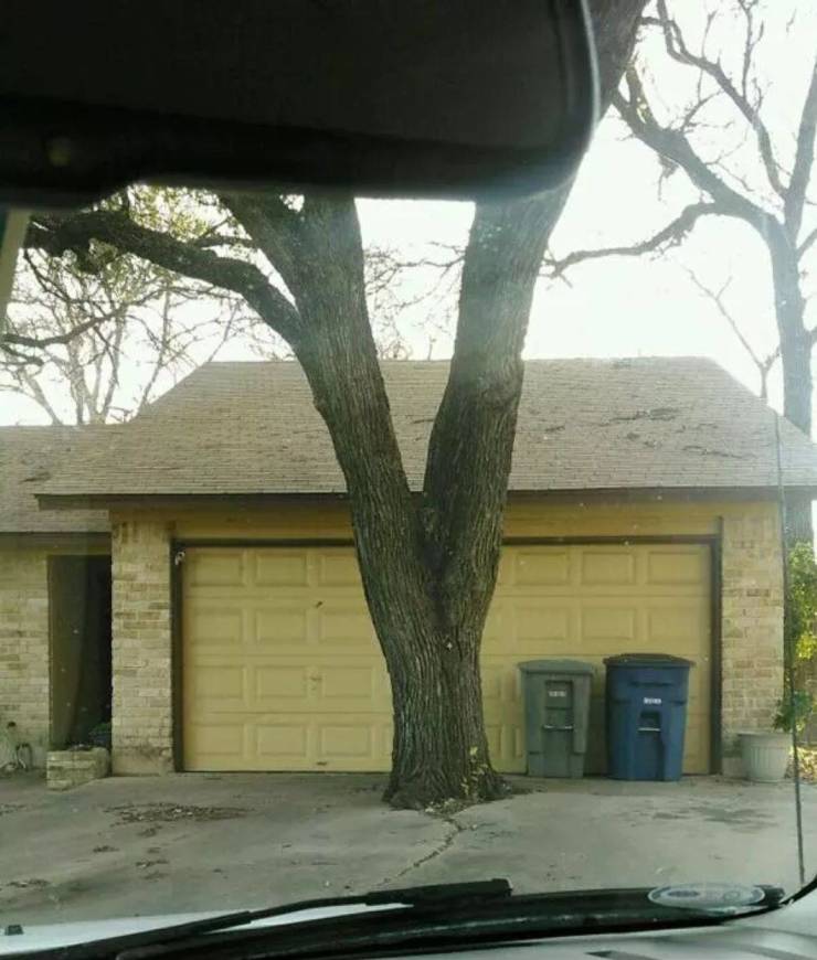 23 People who had one job and failed.