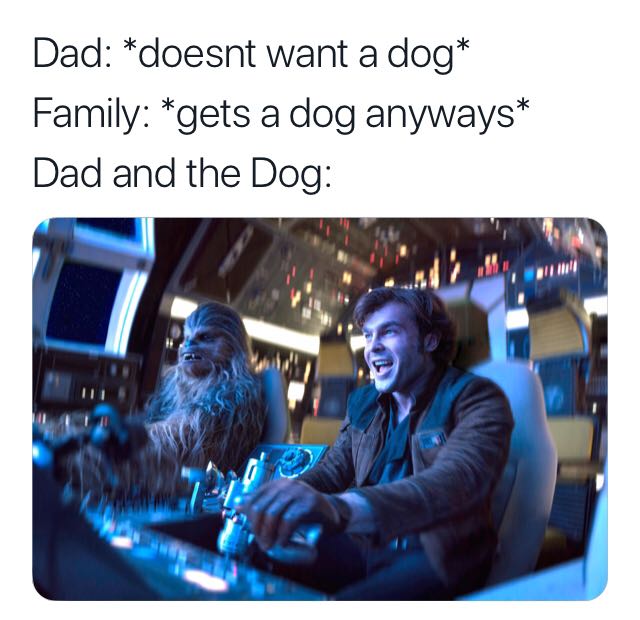 solo a star wars story entertainment weekly - Dad doesnt want a dog Family gets a dog anyways Dad and the Dog