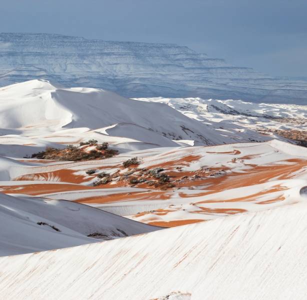 Snow in the Sahara desert.