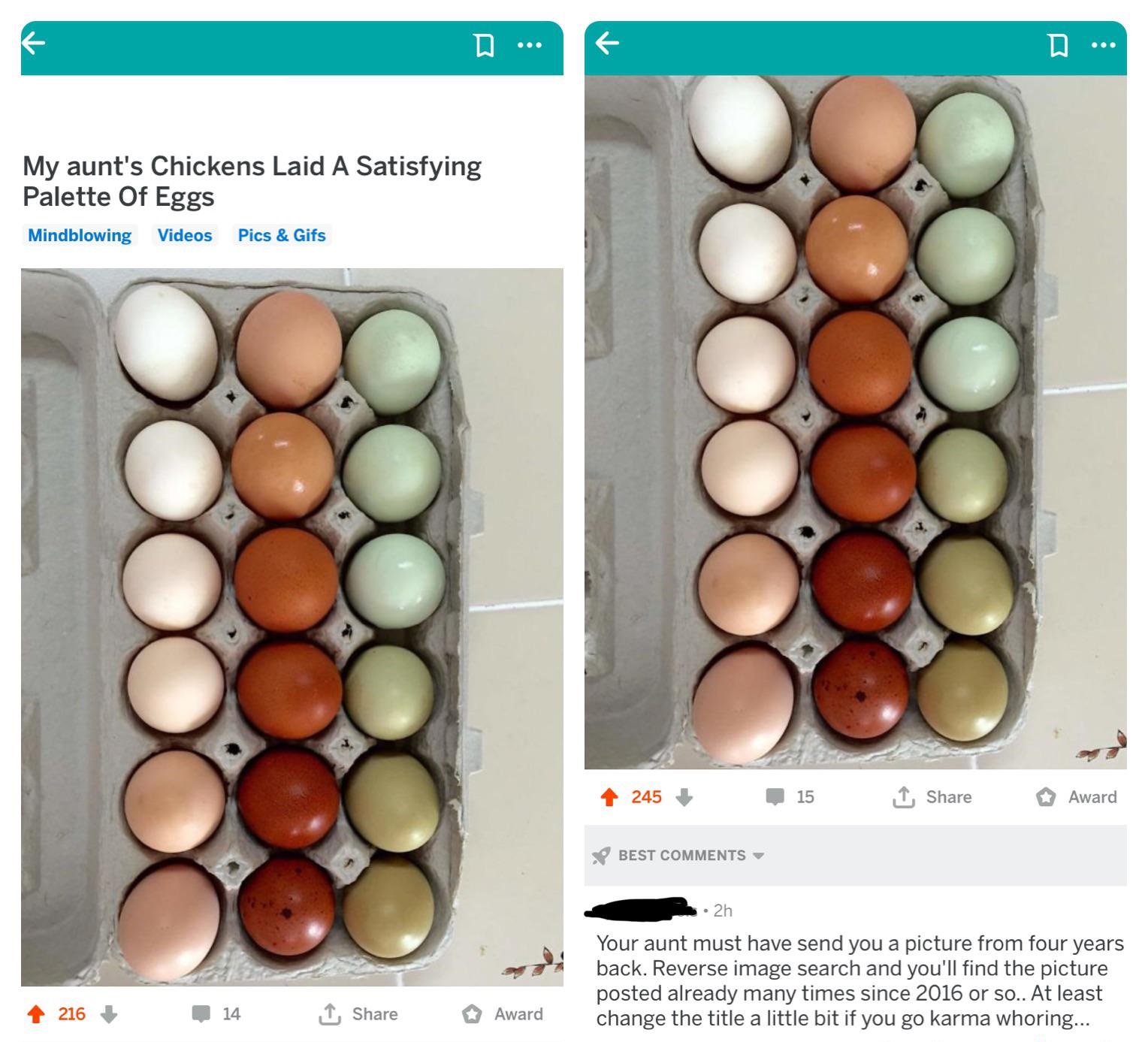 Egg - Df D... My aunt's Chickens Laid A Satisfying Palette Of Eggs Mindblowing Videos Pics & Gifs 245 15 Award Best 2h Your aunt must have send you a picture from four years back. Reverse image search and you'll find the picture posted already many times 