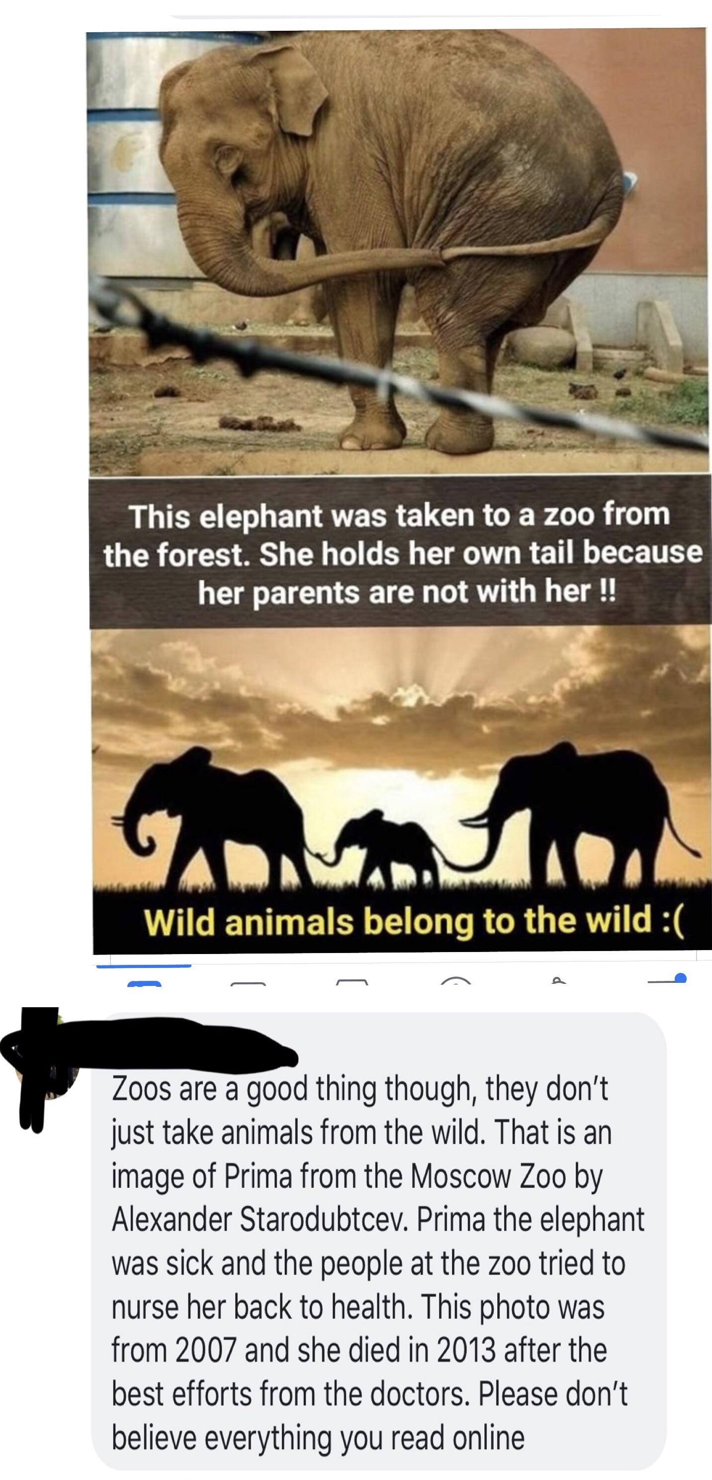 motivation from animals - This elephant was taken to a zoo from the forest. She holds her own tail because her parents are not with her !! Wild animals belong to the wild Zoos are a good thing though, they don't just take animals from the wild. That is an