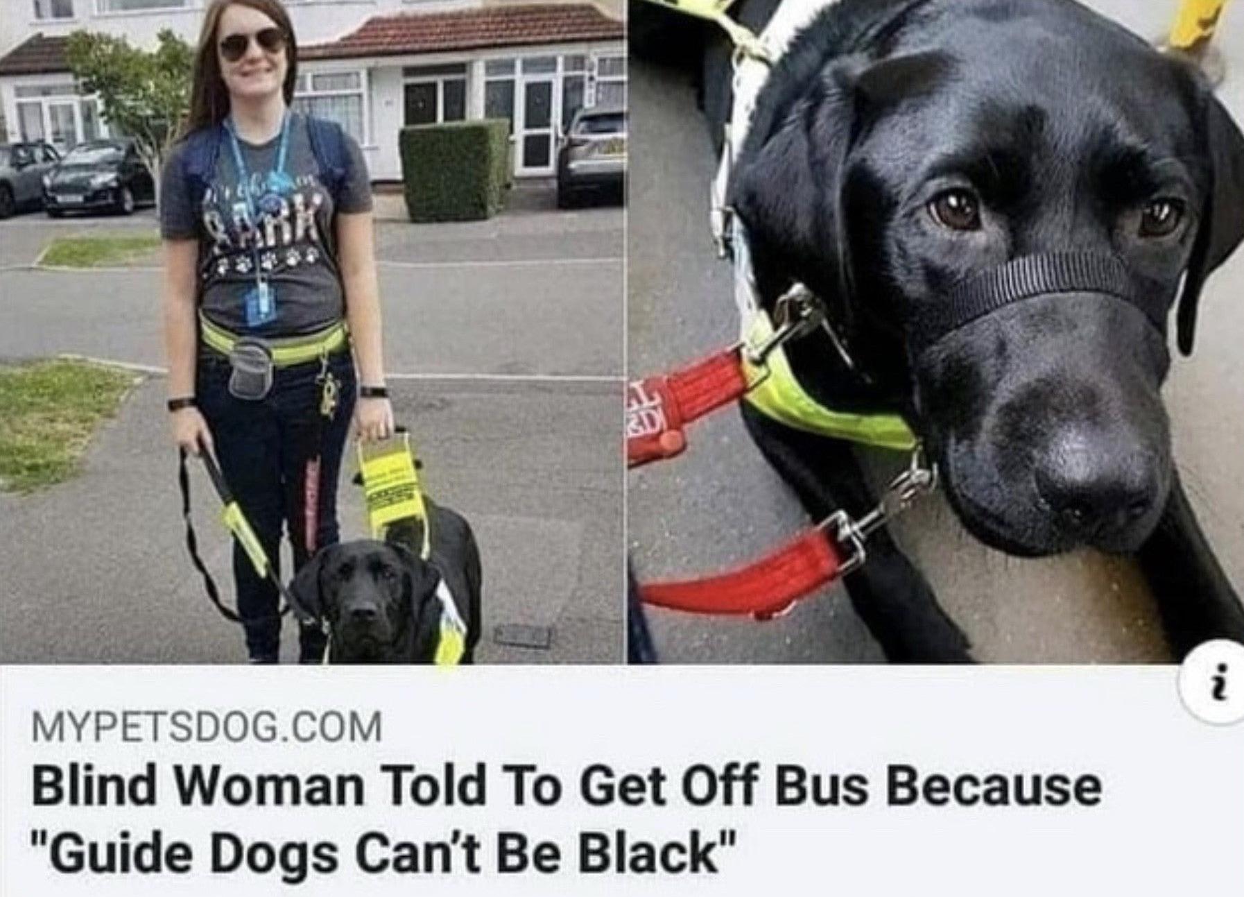 blind woman told to get off bus meme - Mypetsdog.Com Blind Woman Told To Get Off Bus Because "Guide Dogs Can't Be Black"