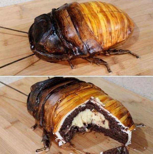 cockroach cake