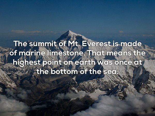 everest - The summit of Mt. Everest is made of marine limestone. That means the highest point on earth was once at at the bottom of the sea