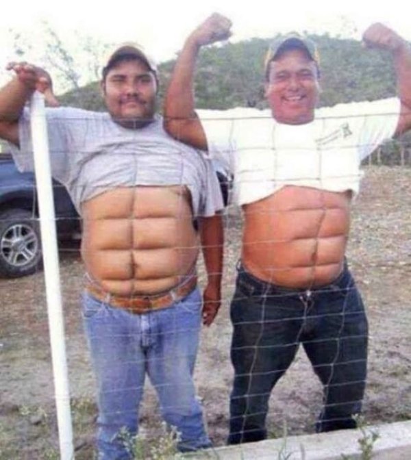 6 pack fence