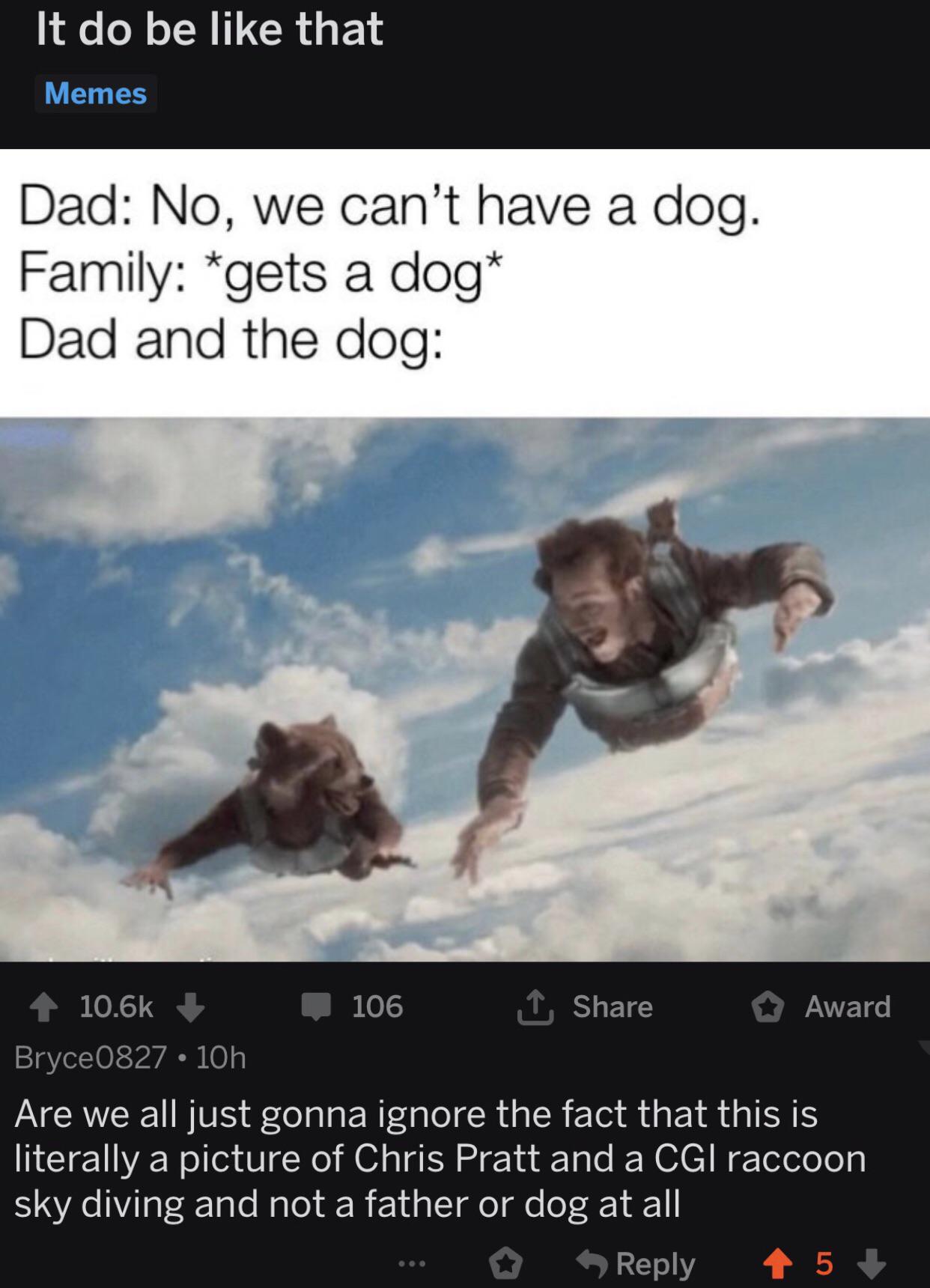 dad and dog meme - It do be that Memes Dad No, we can't have a dog. Family gets a dog Dad and the dog 106 I Award Bryce0827 10h Are we all just gonna ignore the fact that this is literally a picture of Chris Pratt and a Cgi raccoon sky diving and not a fa