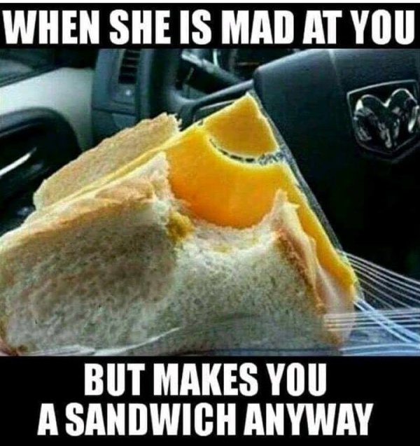 thanks for packing my lunch babe - When She Is Mad At You But Makes You A Sandwich Anyway