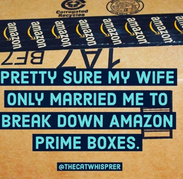 Pretty Sure My Wife Only Married Me To Break Down Amazon Prime Boxes.