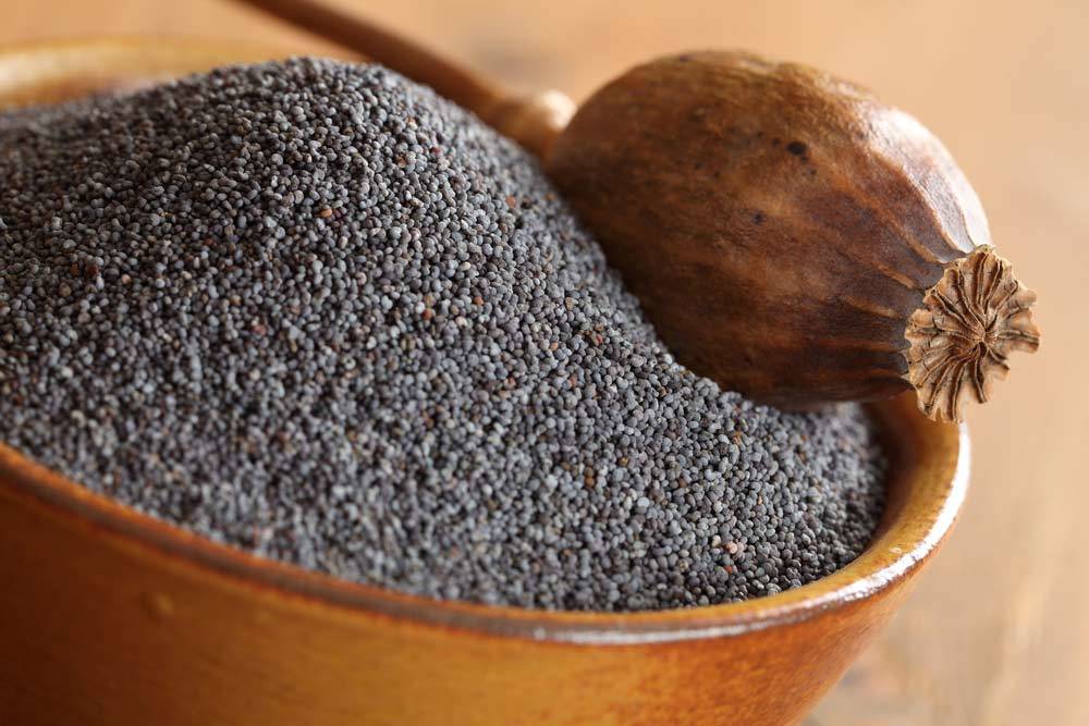 If you fail a drug test for opioids (Morphine, Codeine, etc), tell them that you drink poppy seed tea. Poppy seed tea is 100% legal, and they can’t hold your use of it against you.