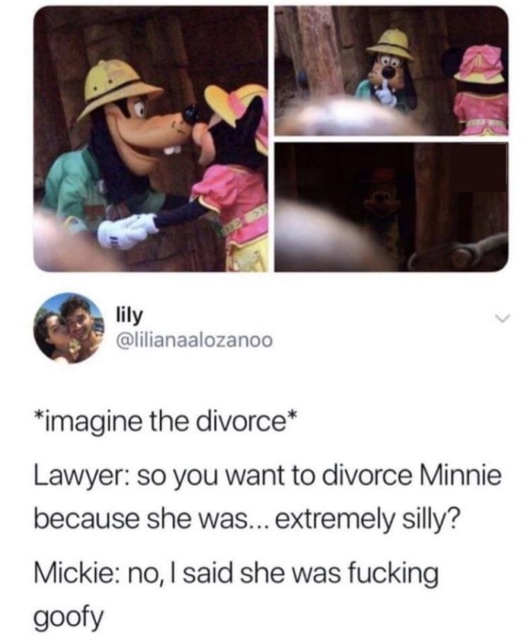 these days cant trust anyone meme - lily imagine the divorce Lawyer so you want to divorce Minnie because she was... extremely silly? Mickie no, I said she was fucking goofy