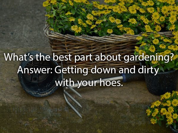 What's the best part about gardening? Answer Getting down and dirty with your hoes.