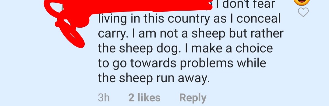 bible quotes - I don't tear living in this country as I conceal carry. I am not a sheep but rather the sheep dog. I make a choice to go towards problems while the sheep run away. 3h 2