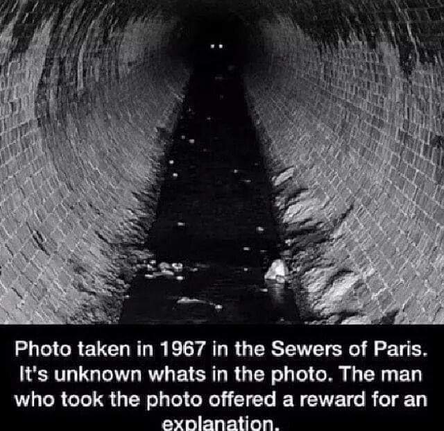 19 Weird and creepy facts.
