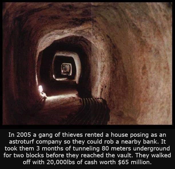 19 Weird and creepy facts.