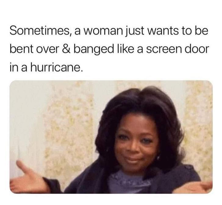 dirty sex memes - Sometimes, a woman just wants to be bent over & banged a screen door in a hurricane.