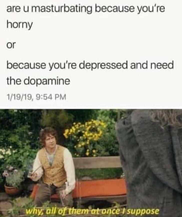 all of them at once i suppose - are u masturbating because you're horny or because you're depressed and need the dopamine 11919, why, all of them at once I suppose