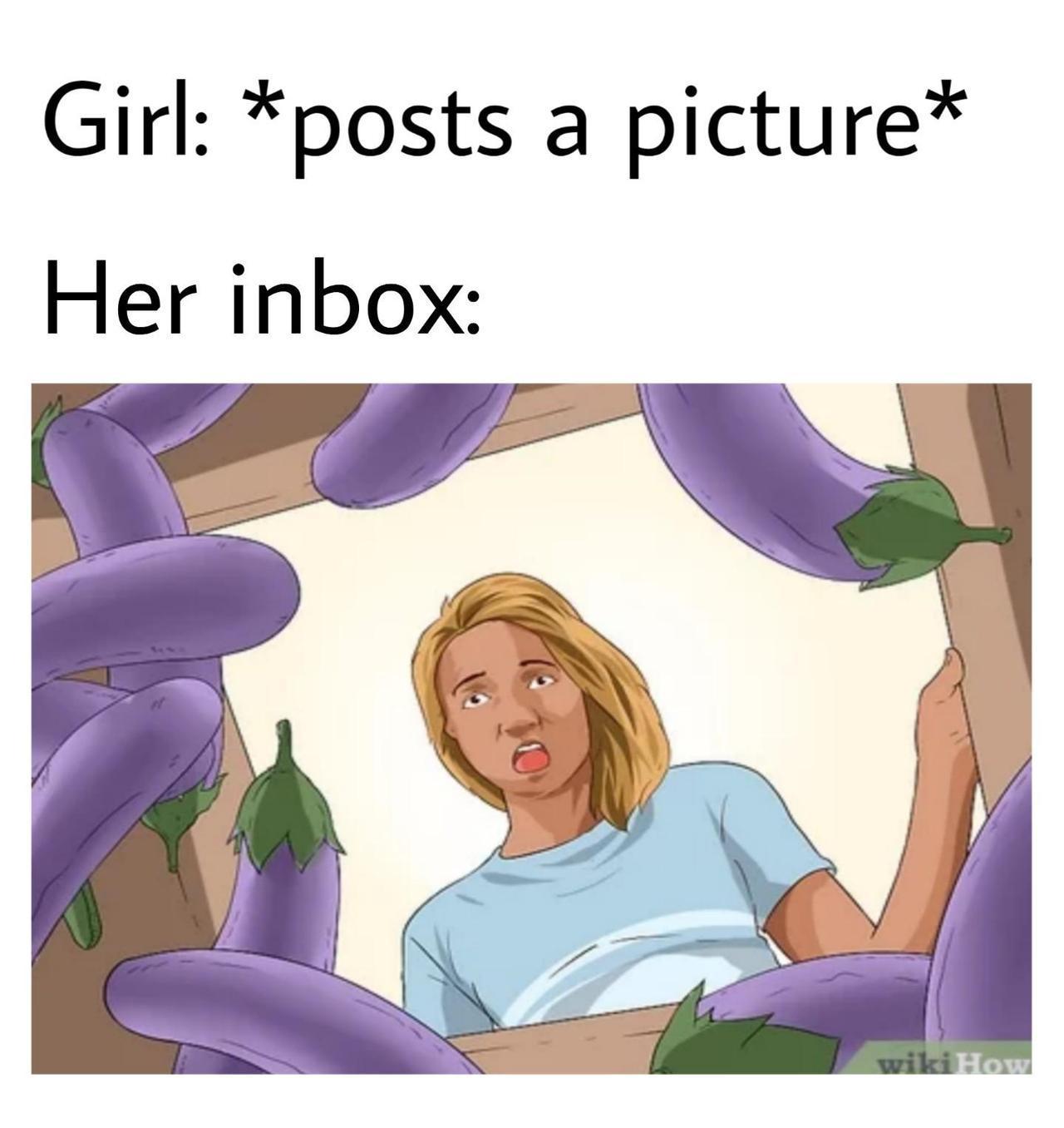 dank wikihow - Girl posts a picture Her inbox wikiHow