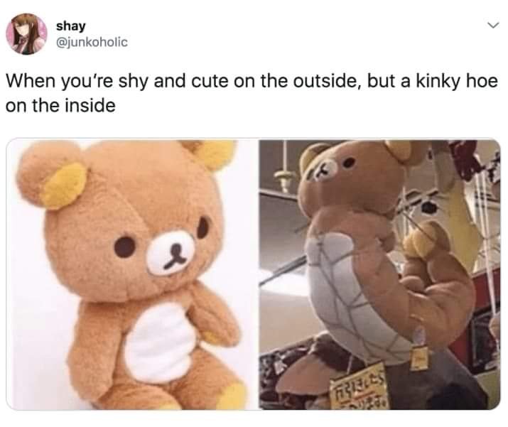 kink memes - shay When you're shy and cute on the outside, but a kinky hoe on the inside