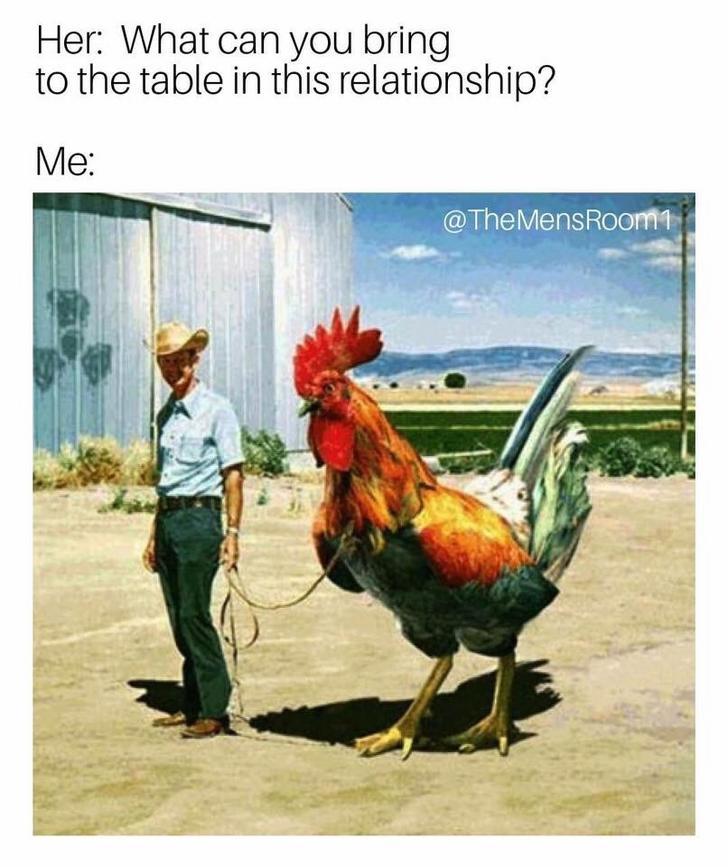 chickens fighting - Her What can you bring to the table in this relationship? Me