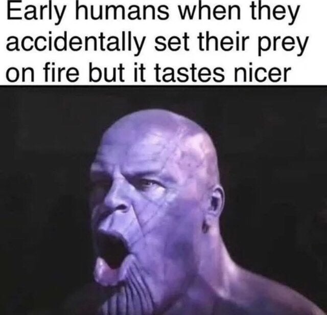 fire memes - Early humans when they accidentally set their prey on fire but it tastes nicer