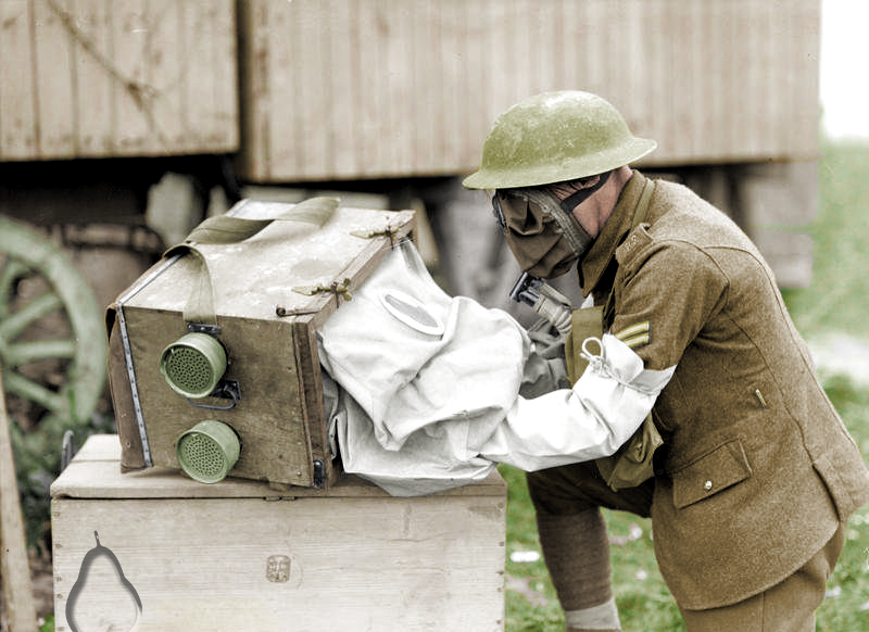 A Gas-Proofed Messenger Pigeon Box, Captured From a German Trench, 1918.