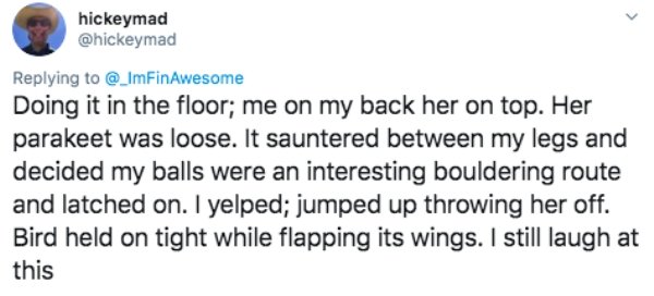 Doing it in the floor; me on my back her on top. Her parakeet was loose. It sauntered between my legs and decided my balls were an interesting bouldering route and latched on. I yelped; jumped up throwing her off. Bird held on